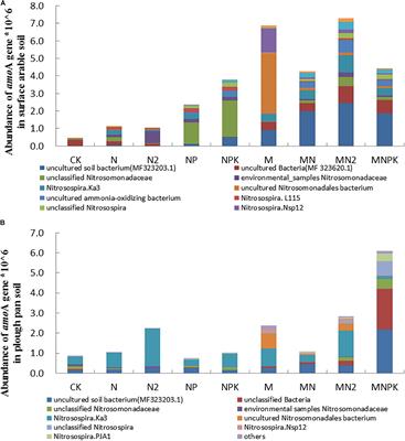 Effect of Long-Term Fertilization on Ammonia-Oxidizing Microorganisms and Nitrification in Brown Soil of Northeast China